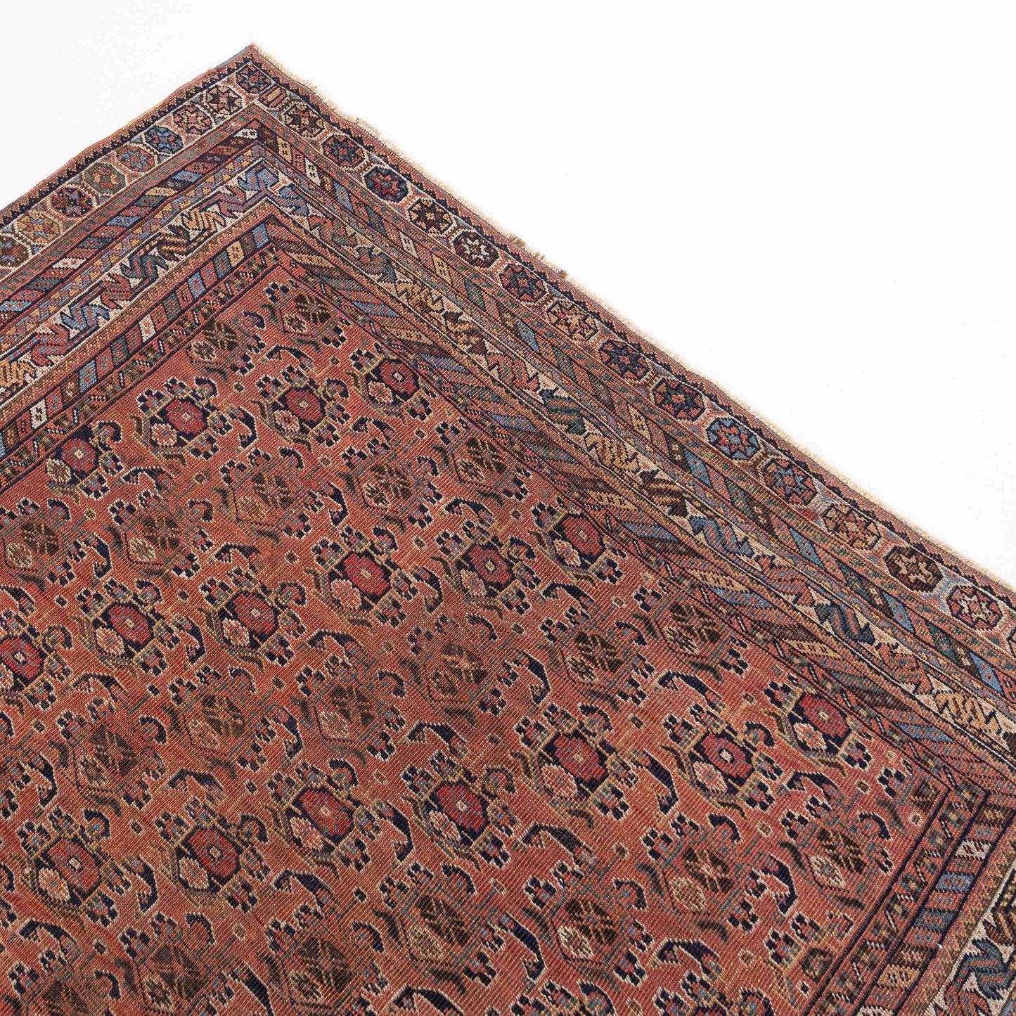 Oriental Rug Anatolian Hand Knotted Wool On Wool 166 X 248 Cm - 5' 6'' X 8' 2'' Pink C004 ER12