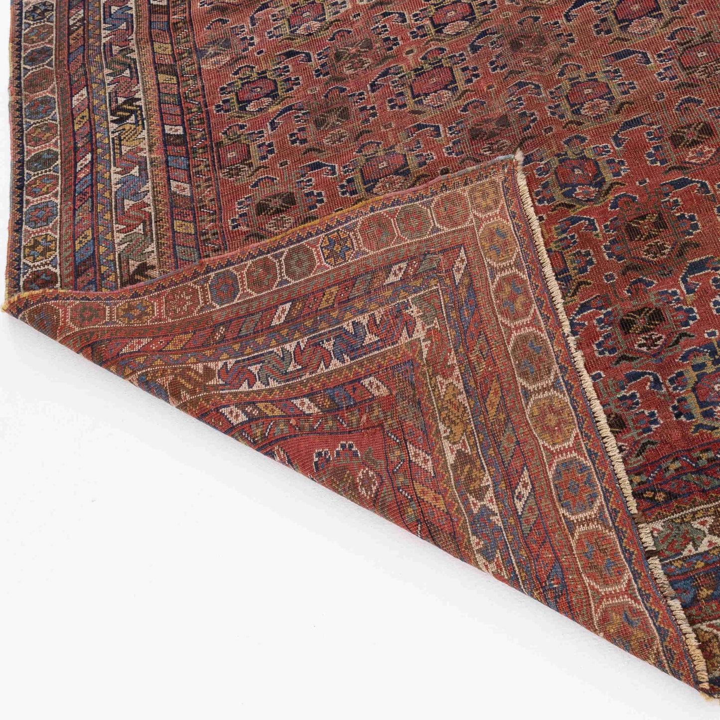 Oriental Rug Anatolian Hand Knotted Wool On Wool 166 X 248 Cm - 5' 6'' X 8' 2'' Pink C004 ER12